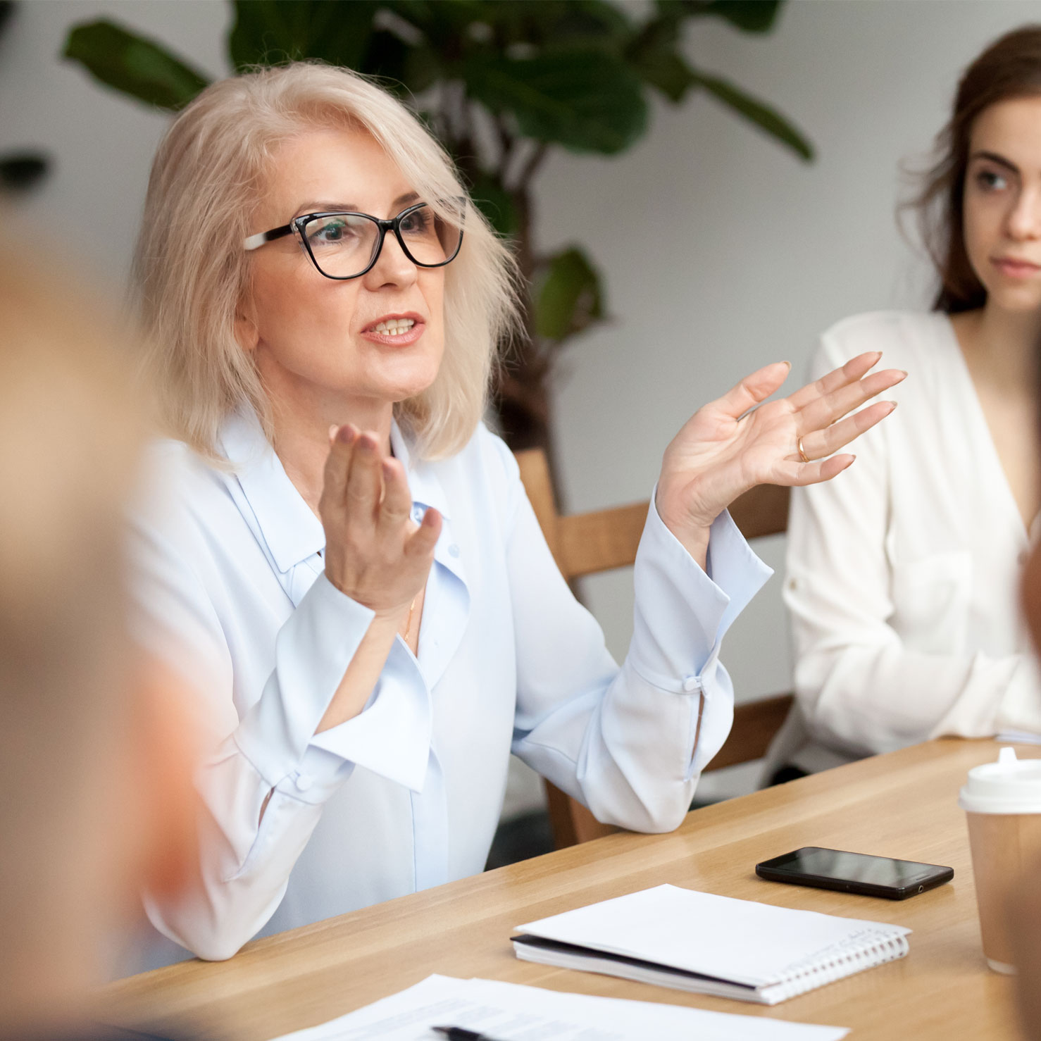 Lady speaking in conference room